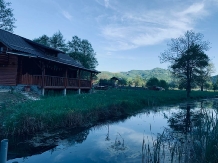 Cabana Izabela - accommodation in  Apuseni Mountains, Valea Draganului (64)