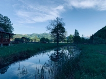 Cabana Izabela - alloggio in  Apuseni, Valea Draganului (65)