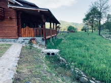Cabana Izabela - alloggio in  Apuseni, Valea Draganului (67)