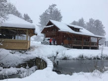 Cabana Izabela - alloggio in  Apuseni, Valea Draganului (76)