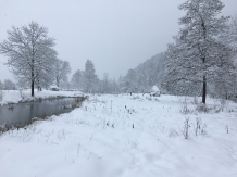 Cabana Izabela - accommodation in  Apuseni Mountains, Valea Draganului (78)