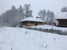 Cabana Izabela - accommodation in  Apuseni Mountains, Valea Draganului (80)