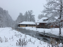 Cabana Izabela - accommodation in  Apuseni Mountains, Valea Draganului (81)