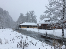 Cabana Izabela - alloggio in  Apuseni, Valea Draganului (81)