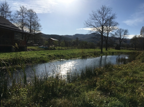 Cabana Izabela - accommodation in  Apuseni Mountains, Valea Draganului (Surrounding)