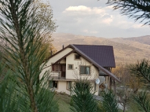 Vila 4 Anotimpuri Poieni - accommodation in  Buzau Valley (02)