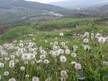 Vila 4 Anotimpuri Poieni - accommodation in  Buzau Valley (06)