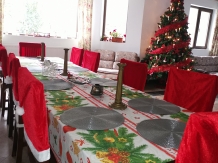Vila 4 Anotimpuri Poieni - alloggio in  Valea Buzaului (35)