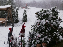 Vila 4 Anotimpuri Poieni - alloggio in  Valea Buzaului (41)