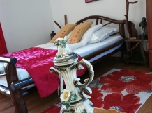 Vila 4 Anotimpuri Poieni - alloggio in  Valea Buzaului (48)
