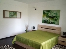 Vila 4 Anotimpuri Poieni - alloggio in  Valea Buzaului (57)