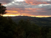 Vila 4 Anotimpuri Poieni - alloggio in  Valea Buzaului (62)