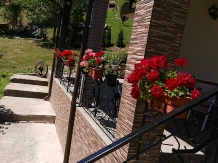 Vila 4 Anotimpuri Poieni - alloggio in  Valea Buzaului (69)