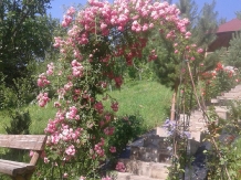 Vila 4 Anotimpuri Poieni - alloggio in  Valea Buzaului (72)