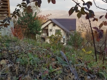 Vila 4 Anotimpuri Poieni - alloggio in  Valea Buzaului (83)