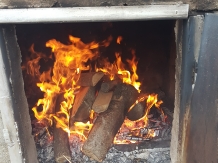 Vila 4 Anotimpuri Poieni - alloggio in  Valea Buzaului (92)