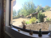 Vila 4 Anotimpuri Poieni - alloggio in  Valea Buzaului (94)