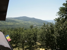 Vila 4 Anotimpuri Poieni - alloggio in  Valea Buzaului (100)