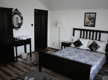 Vila 4 Anotimpuri Poieni - alloggio in  Valea Buzaului (105)