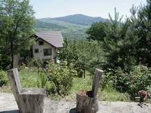 Vila 4 Anotimpuri Poieni - accommodation in  Buzau Valley (109)