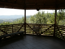 Vila 4 Anotimpuri Poieni - alloggio in  Valea Buzaului (116)