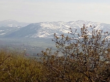 Vila 4 Anotimpuri Poieni - cazare Valea Buzaului (120)