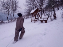 Vila 4 Anotimpuri Poieni - alloggio in  Valea Buzaului (121)