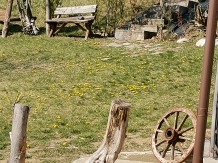 Vila 4 Anotimpuri Poieni - alloggio in  Valea Buzaului (129)
