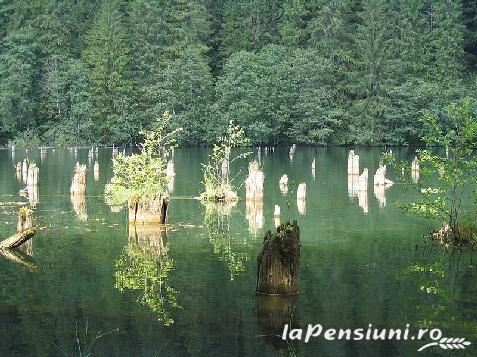 Pensiunea Vila Lac - cazare Harghita Covasna (Activitati si imprejurimi)