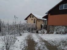 Pensiunea Luminita - accommodation in  Fagaras and nearby, Muscelului Country (02)