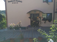 Pensiunea Luminita - accommodation in  Fagaras and nearby, Muscelului Country (08)