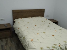 Pensiunea Luminita - accommodation in  Fagaras and nearby, Muscelului Country (19)