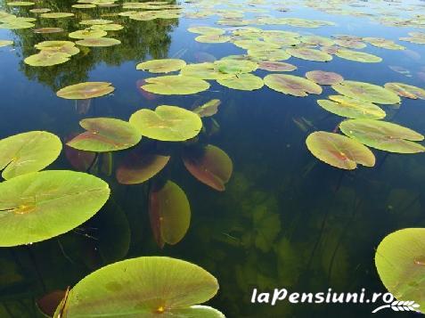 Pensiunea Eden - cazare Delta Dunarii (Activitati si imprejurimi)