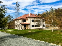 Rural accommodation at  Pensiunea Negoiu