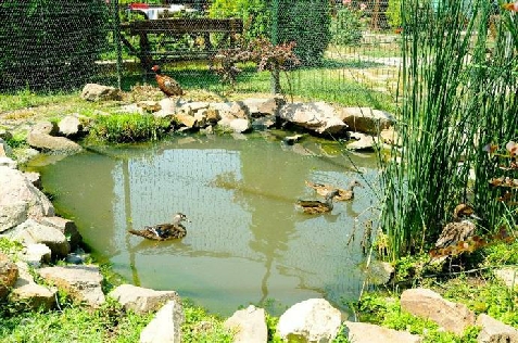 Pensiunea La Cupola - accommodation in  Transylvania (Surrounding)