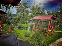 Enothera Rosema - accommodation in  Muntenia (21)