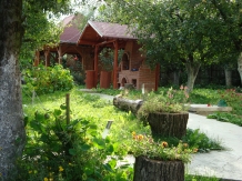 Enothera Rosema - accommodation in  Muntenia (25)