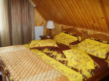 Enothera Rosema - accommodation in  Muntenia (43)