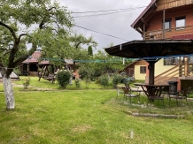 Enothera Rosema - accommodation in  Muntenia (61)
