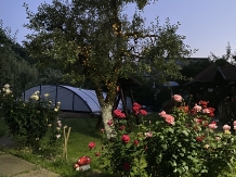 Enothera Rosema - accommodation in  Muntenia (69)