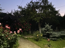 Enothera Rosema - accommodation in  Muntenia (70)