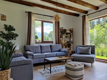 Ara Chalet - alloggio in  Rucar - Bran, Moeciu, Bran (02)