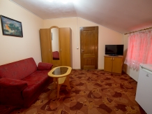 Pensiunea Arin - accommodation in  Transylvania (09)