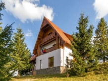 Agropensiunea Mara - accommodation in  Apuseni Mountains, Belis (13)