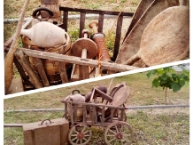 Pensiunea Casa Murani - alloggio in  Banat (07)