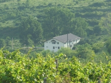 Casa Colinelor - alloggio in  Muntenia (03)