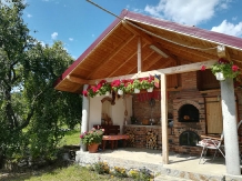 Casa Iulia - alloggio in  Valea Oltului (13)
