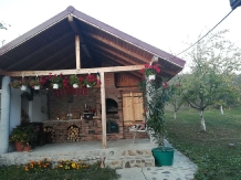 Casa Iulia - cazare Valea Oltului (15)