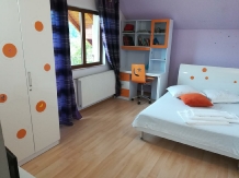 Casa Iulia - accommodation in  Olt Valley (18)