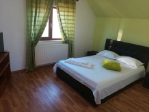 Casa Iulia - accommodation in  Olt Valley (28)